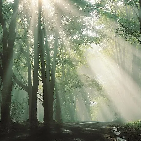 Macdonald Leeming House Отель