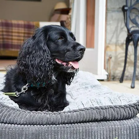 Hotel Macdonald Leeming House Watermillock