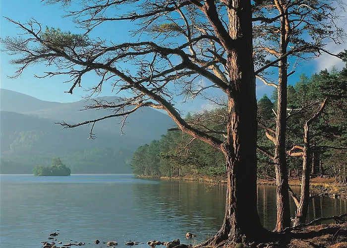 Macdonald Leeming House